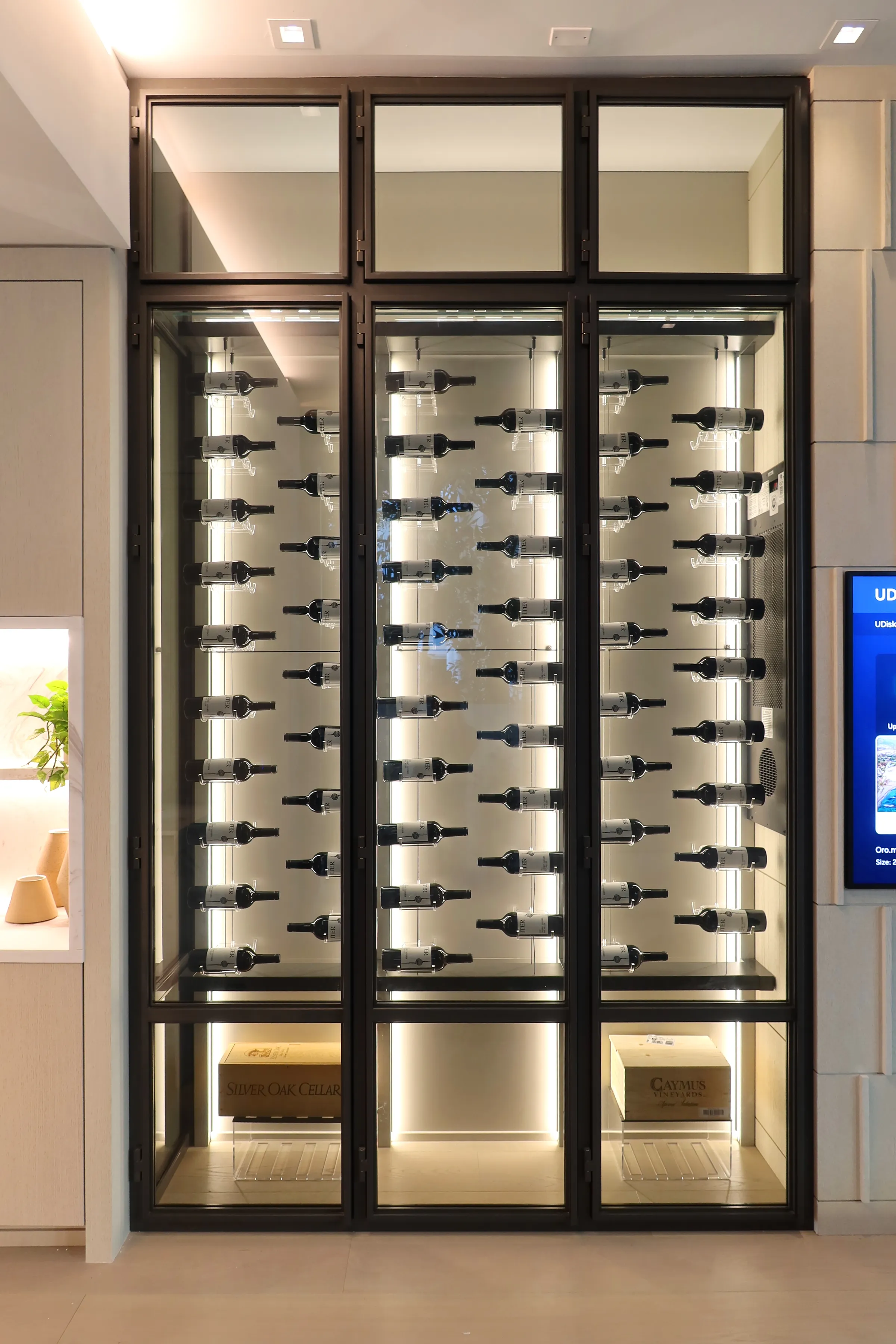 Custom dual wine wall Palm Beach featuring glass enclosure, illuminated bottle displays, and modern luxury wine storage — photograph 2 of 4