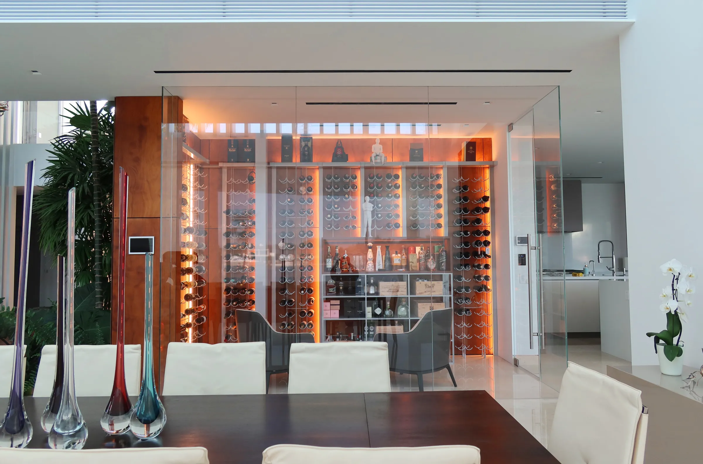 Fort Lauderdale 2 - Transitional Wine Cellar Fort Lauderdale FL — photograph 2 of 4