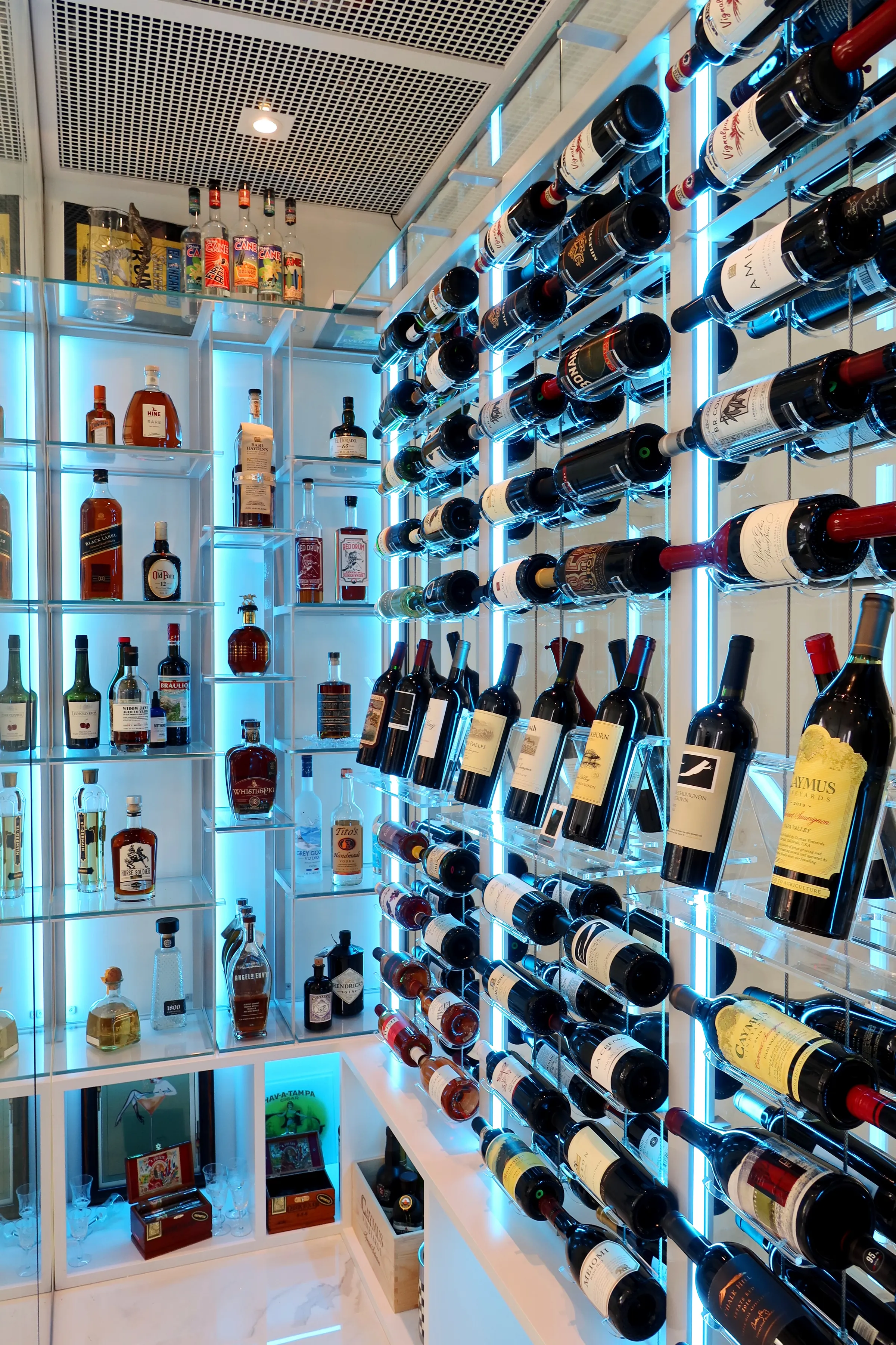 Custom wine cellar Palm Beach Gardens Florida - Vintageisle, wide angle wine room, refined aesthetics